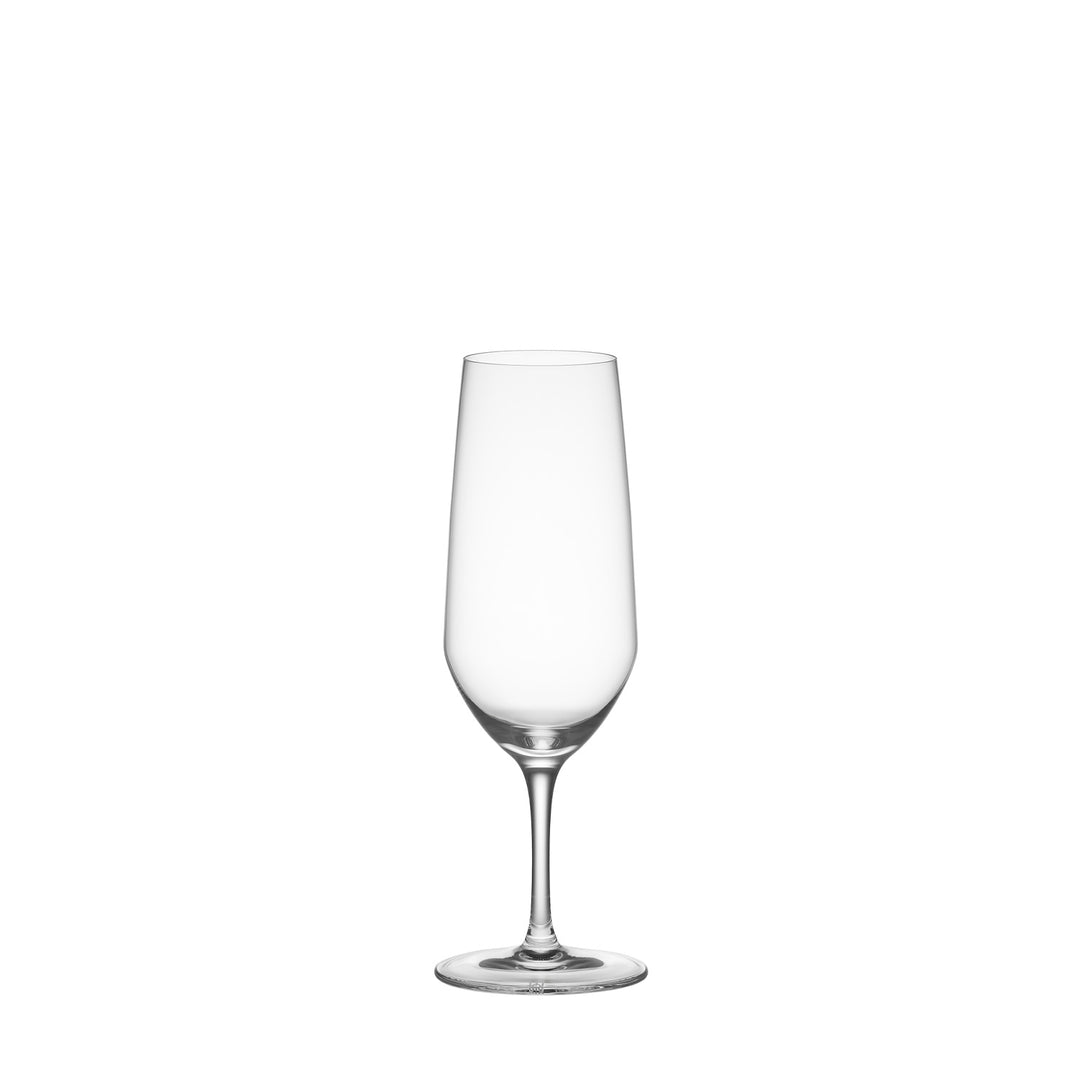 sen champagne glass – zizi STORE
