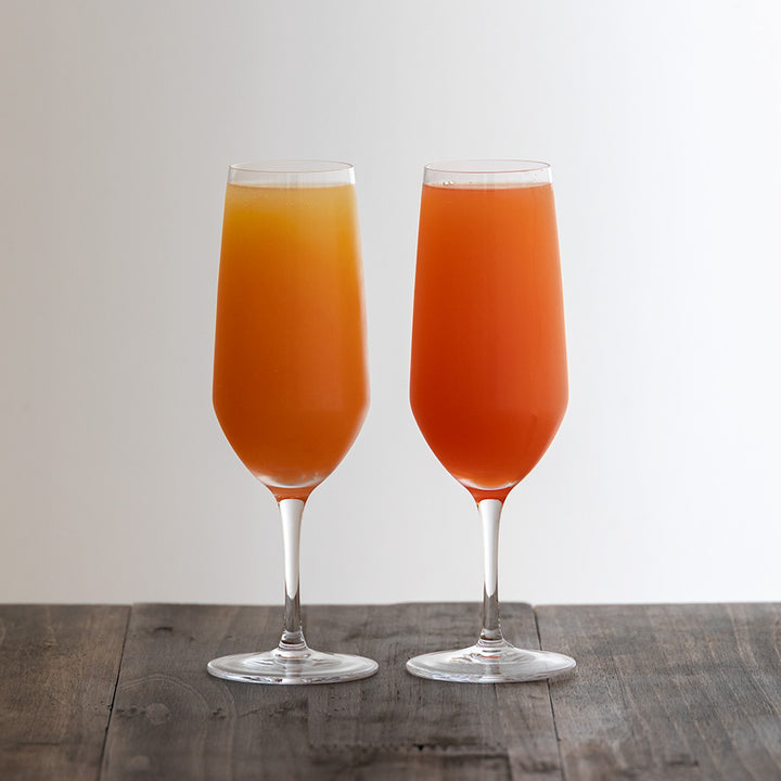 乾杯尻グラス　きんしり sen champagne glass – zizi STORE