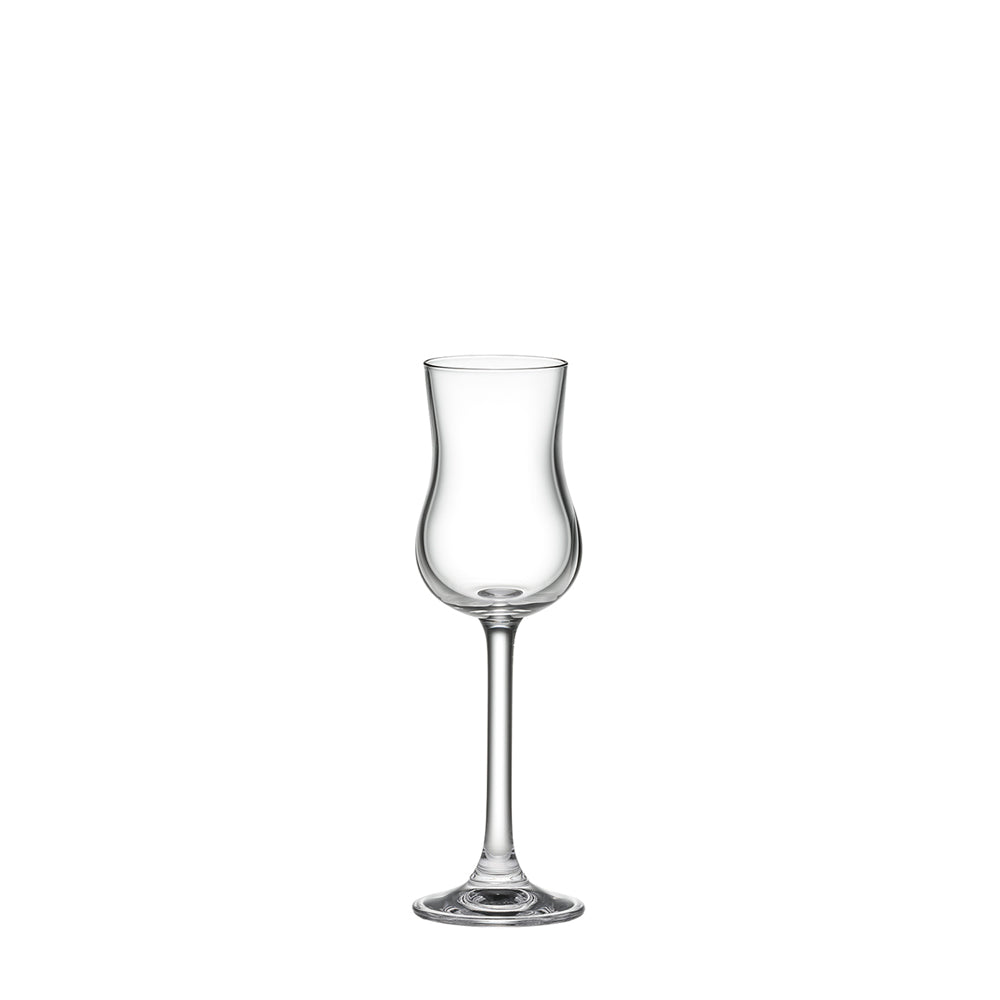 GLASS TYPE – zizi STORE