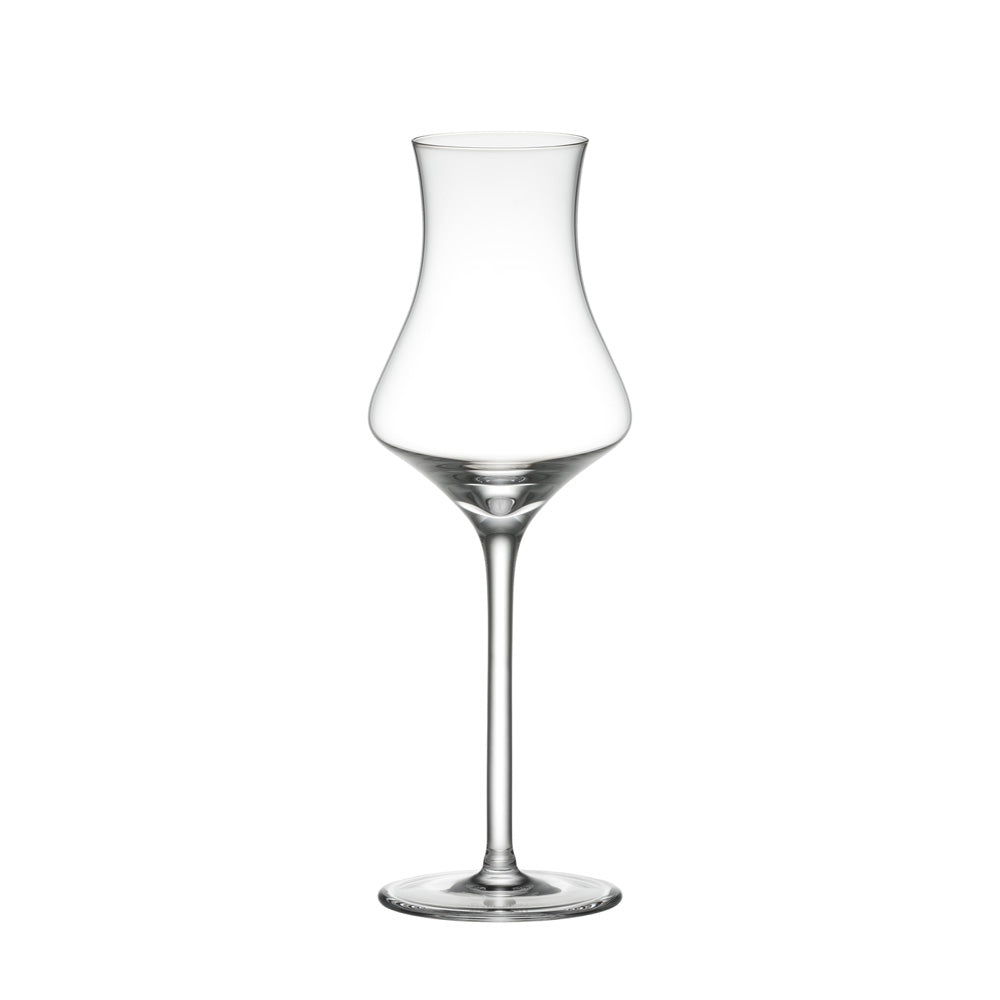 LIQUEUR GLASS – zizi STORE