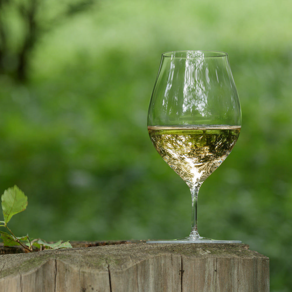 kojitani travelwineglass – zizi STORE