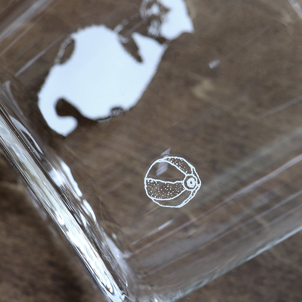 cats 1 – zizi STORE